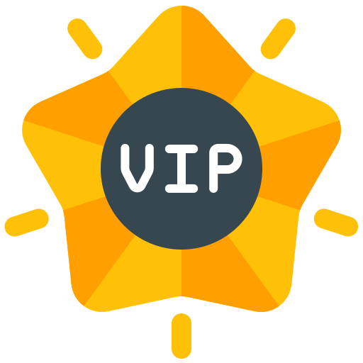 VIP Experience